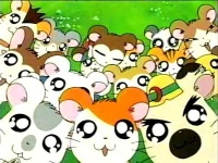 A screenshot of the American opening theme, featuring the entire hamster primary cast.